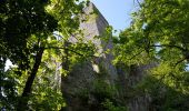 Trail Walking Unknown - Château Hohenbaden - site escalade Battert - Merkur (Rother n°42) - Photo 9