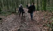 Trail Walking Vresse-sur-Semois - vresse sue semois - Photo 19