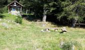 Percorso Marcia Soultz-Haut-Rhin - Grand Ballon - Photo 3