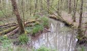 Randonnée Marche Chimay - tour du lac de virelle - Photo 12