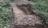 Tocht Te voet Wiehl - Tropfsteinhöhle Rundweg A3 - Photo 5