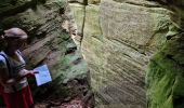 Tour Wandern Berdorf - Mullerthal Berdorf B5+B8 Raiberhiel-Teufelsinsel-Siewenschleff-Berdorfer Kasselt-Keltenkapp-Passage Mandrack-Geierslay-Perekop-Huel Lee (PVDB) - Photo 17