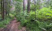 Percorso Marcia Theux - tancremont - mousset versant vesdre retour via versant hoegne - Photo 5