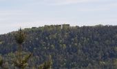 Trail Walking Saverne - Saverne : rocher Rappenfels - grotte St Vit - château Greifenstein - Photo 12