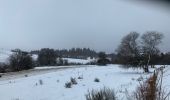 Tocht Stappen Besse-et-Saint-Anastaise - Les 3 lacs et la cascade  - Photo 9