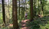 Trail Walking Houffalize - Les deux Ourthes au départ de Filly - Photo 12