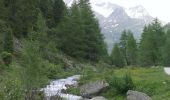 Randonnée A pied Sand in Taufers - Campo Tures - IT-9B - Photo 10