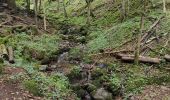 Tour Wandern Steinbach - Cascade de Erzenbach - Photo 7