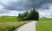 Trail On foot Heiden - Gesundheitsweg - Photo 6