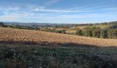 Tour Wandern Baigts-de-Béarn - baigts de Béarn fait G4 - Photo 3