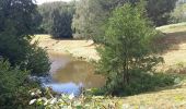 Randonnée Marche Moutier-Malcard - Moutier,N'oublier,Forêt,Mortroux - Photo 8