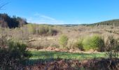 Tour Wandern Gedinne - Willerzie 190425 - Photo 14