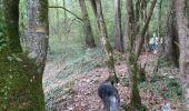 Trail Walking Penne-d'Agenais - La randonnée de Penne d'agenais- Lot et Garonne  - Photo 6