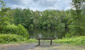 Tour Wandern Condé-sur-l'Escaut - Condé sur l’Escaut 15,4 km - Photo 5