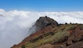 Excursión Senderismo Garafía - La Palma 5 : GR131- Roque de Los Muchachos - Pic de la Nieve - Photo 16
