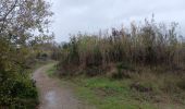 Tocht Stappen Argelès-sur-Mer - mas larrieux automnal rive elne - Photo 3