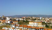 Trail On foot Torre de Moncorvo - Rota do Lobo - Photo 8