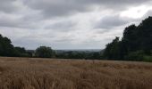 Tocht Stappen Luik - Rocourt - Liège - Rocourt  - Photo 3