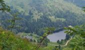 Trail Walking Soultzeren - Rando des APAVIENS..28/06/2024 - Photo 1