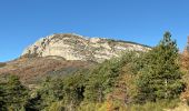 Excursión Senderismo Castellane - Thyrs : sommet du Robion - Photo 11