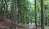 Randonnée Marche Hoeilaert - RL-GG-04_Hoielart_Genval - Photo 4