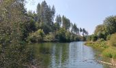 Randonnée Marche Waimes - tour du lac, pont - barrage - pont  - Photo 14