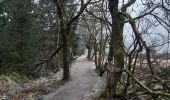 Randonnée Marche Waimes - botrange . baraque Michel longeant la fagne wallonne . Retour via croix des fiancés.  pont bleu.  fagne de polleur . station météo Mont rigide  - Photo 15