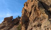 Tocht Stappen Mandelieu-la-Napoule - Esterel forestiere  - Photo 4