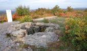 Randonnée A pied Savogna d'Isonzo / Sovodnje ob Soči - Sentiero Abramo Schmid - Photo 6