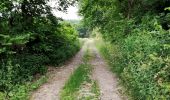 Tour Wandern Vielsalm - La nature en questions   - Photo 14