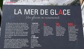 Tocht Stappen Chamonix-Mont-Blanc - Chamonix : Montenvers-Aiguille du Midi - Photo 10
