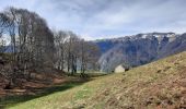 Trail Walking Baren - Mail de la Pique depuis Baren - Photo 6
