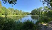 Trail Walking Soignies - Thieusies Rando des châteaux et moulins - Photo 8