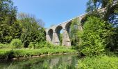 Tour Wandern Chimay - rando lompret 26-05-2023 - Photo 10