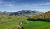 Percorso A piedi Glux-en-Glenne - Le Chemin de Maraude - Photo 2