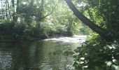 Trail Walking Sentheim - Par la forêt et le fil de l'eau - Photo 4