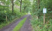 Tour Zu Fuß Neustadt am Rübenberge - Schneeren Rundwanderweg S2 - Photo 10