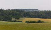 Tour Zu Fuß Winchester - Dutton Estate walk - Photo 7