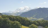 Percorso Marcia Praz-sur-Arly - Praz sur Arly. Epines blanches - Photo 1