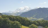 Trail Walking Praz-sur-Arly - Praz sur Arly. Epines blanches - Photo 1