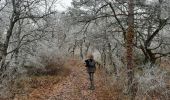 Tour Wandern Puy-Saint-Martin - Puy St Martin Chevrière-La Pigne 12km - Photo 3