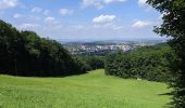 Trail On foot Kopřivnice - Lašská naučná stezka Kopřivnice - Photo 6