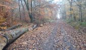 Trail Running Allogny - allogny - Photo 1
