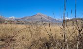 Tour Wandern La Freissinouse - Balcon & tour du lac de Pellautier - Photo 2