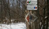 Randonnée A pied Gemeinde Klosterneuburg - Stadtwanderweg 8 - Sofienalpe - Photo 8