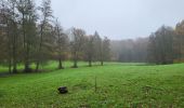 Trail Walking Namur - Wepion 211123 - Photo 13
