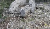 Tour Wandern Saint-Martin-d'Ardèche - 07 st martin d ardeche gorge ardeche - Photo 3