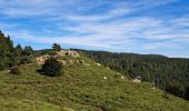 Excursión Senderismo Aumessas - Lac de Pise au départ de Aumessas  - Photo 10