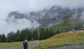 Tour Wandern Passy - J10 - R8 - Plaine Joux - Les Ayères - Lac Vert  - Photo 8