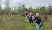 Tocht Stappen Valkenburg aan de Geul - Valkenburg  - Photo 9